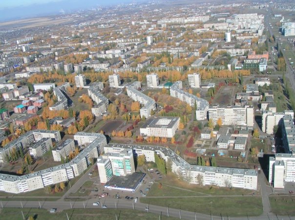 sal9.jpg (87995 bytes)